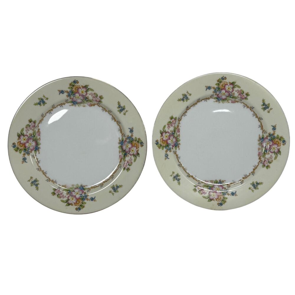 Meito China Hand Painted Floral Plates Set of 2 Japan 9.75” Vintage